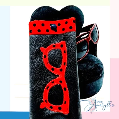 Etui lunettes noir et rouge